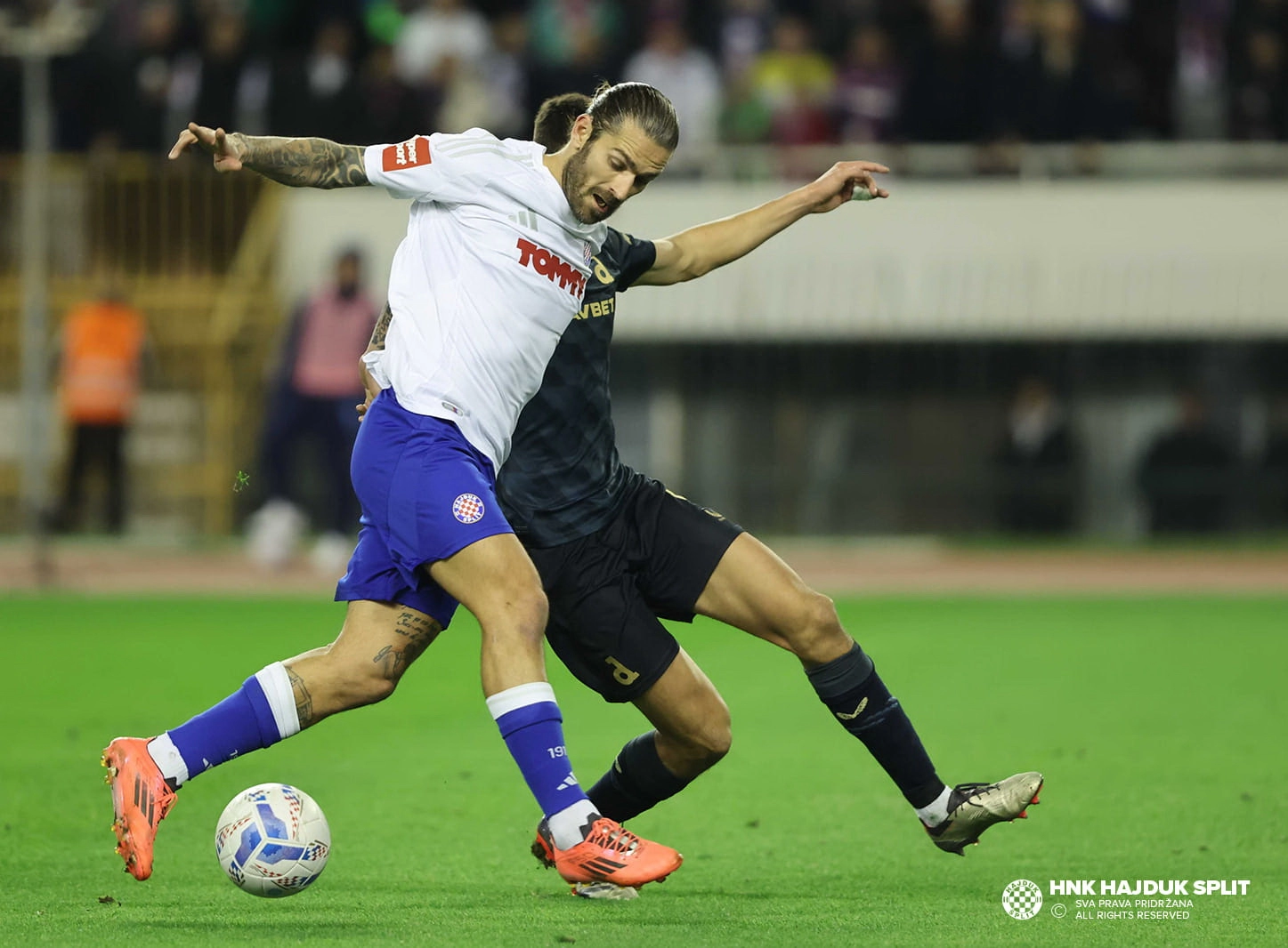 Nastavlja se utrka kornjače i zeca